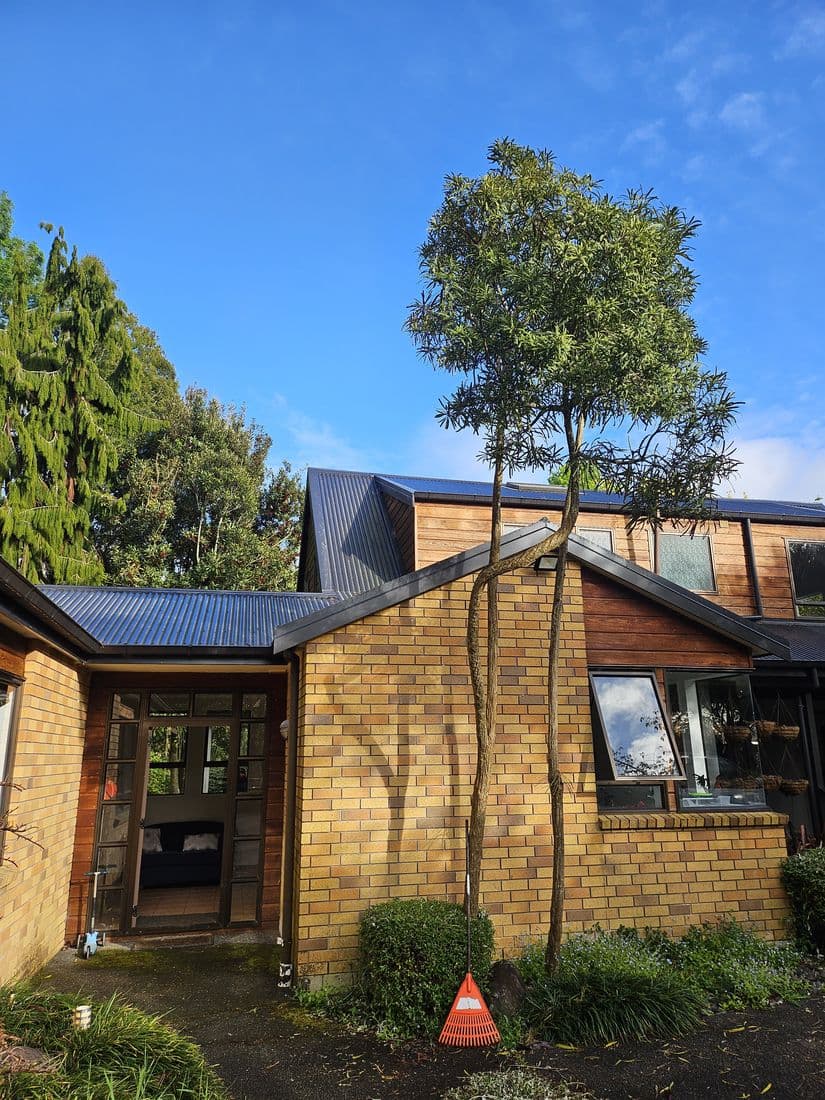 Cedar and dark steel on an architectural Waikato home